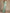 Robe de soirée élégante vert eucalyptus à manches cape avec détails en dentelle