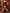 Bordeauxrotes Samt-Weihnachts-Maxikleid