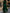 Green V-neck Lace Long Sleeved Top Maxi Dress