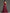 Rochie maxi burgundy din satin cu un umăr gol