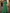 Vestido maxi estructurado con mangas abullonadas