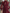 Abito lungo in chiffon bordeaux con collo alto