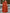 V-Ausschnitt Chiffon Cape-Ärmel formelles Maxikleid