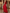 One-Shoulder Chiffon Floral Maxi Dress