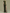 Olive Green Satin With Large Sequins Maxi Dress