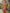 Oranges Maxikleid mit Blumenmuster, schulterfrei und figurbetont