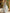 Maxikleid mit blauem Hintergrund, irisierenden Blumen, Neckholder und tailliert