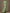 Robe longue sirène vert sauge brodée