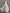 Maxikleid aus Chiffon mit V-Ausschnitt, Neckholder, Rüschenbesatz und tailliertem Schnitt