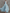 Maxikleid aus Chiffon mit V-Ausschnitt, Neckholder, Rüschenbesatz und tailliertem Schnitt