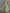 Maxikleid aus Chiffon mit V-Ausschnitt, Neckholder, Rüschenbesatz und tailliertem Schnitt