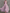 Maxikleid aus Chiffon mit V-Ausschnitt, Neckholder, Rüschenbesatz und tailliertem Schnitt