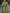 Matcha Green Satin One-Shoulder Fitted Waist Pleated Maxi Dress