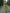 Matcha Green Satin One-Shoulder Fitted Waist Pleated Maxi Dress