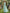 Vestido maxi verde-menta de chiffon plissado com decote halter