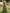 Olive Green Off Shoulder Rose Print Chiffon With Slits Maxi Dress