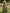 Olive Green Off Shoulder Rose Print Chiffon With Slits Maxi Dress