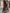 Brown Leopard-Print Chiffon Maxi Dress with Cinched Waist