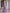 Maxikleid in Uni-Farbe mit schulterfreiem Mesh, Raffung und Schlitz