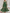 Groene chiffon maxi-jurk met print, off-shoulder en pofmouwen