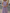 Light Purple Chiffon Round Neck Fitted Waist Midi Dress