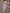 Satin-Maxikleid mit rundem Ausschnitt, Blumenmuster und Schlitz