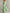 Einfarbiges Chiffon Schulterfreies Maxi-Kleid mit gedrehtem Volant