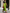 Chiffon And Matte Satin Color-Blocked V-Neck Fishtail Midi Dress