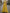 Yellow Sequin Bodice Satin A-line Maxi Dress