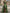 Olive Green Illusion Lace Bodice Satin High-Low Maxi Dress