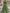 Olive Green Illusion Lace Bodice Satin High-Low Maxi Dress
