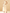 Chiffon Round Neck Sleeveless Fitted Waist Midi Dress