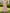 Rochie maxi cu mâneci scurte și model cu fir auriu embosat, culoare uni