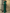 Satin Off-Shoulder Fitted Waist Tie Fishtail Maxi Dress
