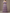 Grayish Purple Chiffon Off-Shoulder Tiered Maxi Dress