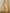 Yellow Round Neck Satin Lace Embroidered Midi Dress
