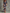 Satin Floral Print Deep V-Neck Fishtail Maxi Dress