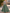 Chiffon Lace Embroidered Round Neck Maxi Dress