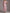 Rosa schulterfreies 3D-Blumen-Tüll-Maxikleid