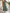 Chiffon Floral Print Waist-cinching Maxi Dress