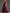 Rose Red Satin One-Shoulder Floral Fitted Waist Maxi Dress