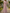 Pink Dolman Sleeve Ruched Waist Chiffon Maxi Dress