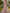 Pink Dolman Sleeve Ruched Waist Chiffon Maxi Dress