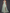 Rochie maxi din tul cu flori 3D, albastru deschis, cu guler halter