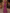 Purplish-Red Satin Deep V-neck Fishtail Maxi Dress