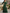 Vestido Maxi de Chiffon Verde-Sálvia com Lantejoulas Embutidas