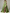 Satin V-neck Fitted Waist Maxi Dress