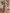 Dusty Pink Lace Chiffon V-Neck Maxi Dress
