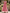 Vestido formal largo de gasa plisada en línea A color rosa rubor
