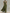 Halter Deep V Neck Ruched Chiffon Pockets Maxi Dress